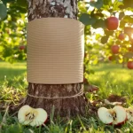 Fini l’angoisse de la pomme véreuse : ce piège gratuit et très simple sauve votre verger