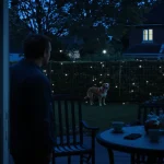 Le chien de mon voisin aboie dans le jardin : ce que j’ai le droit de faire, et voici pourquoi