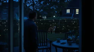 Le chien de mon voisin aboie dans le jardin : ce que j’ai le droit de faire, et voici pourquoi