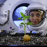 Peut-on cultiver des pommes de terre sur la Lune ? La NASA apporte une reponse qui confirme la SF