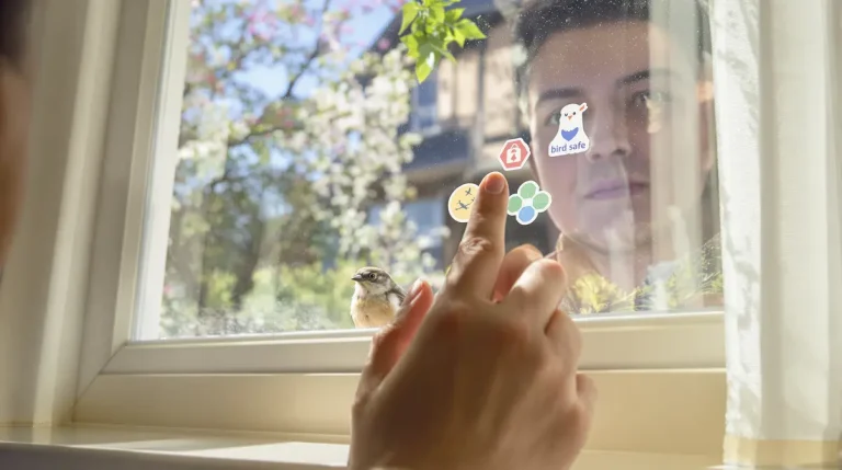 Pour sauver les oiseaux au printemps, un simple sticker sur vos fenêtres suffit vraiment