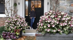 Un simple choix de plante, et mon entrée est devenue la plus admirée : voici pourquoi